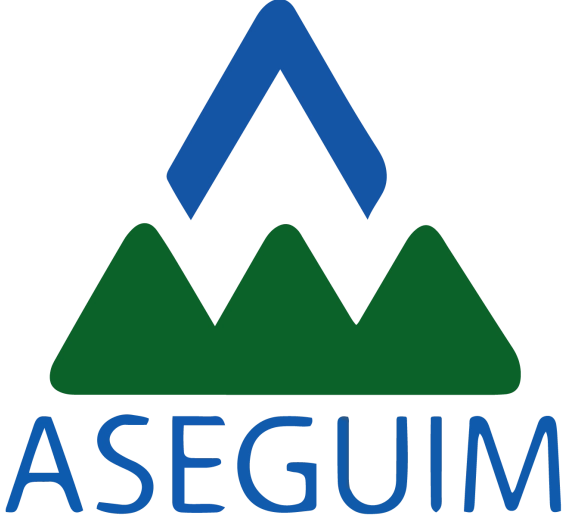 Aseguim Logo